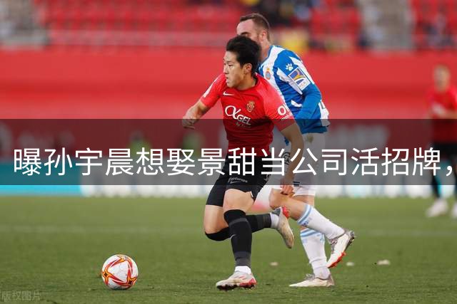 曝孙宇晨想娶景甜当公司活招牌，把孩子当人质，逼景甜去应酬大佬